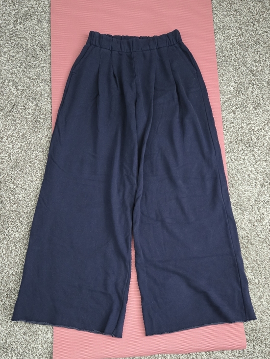 aerie Pants - Aerie Navy Street Trouser Never Worn